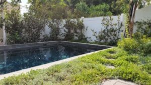 גדר בגינה עם בריכה