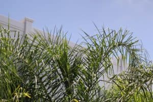 התקנת גדר במנות דגם V301