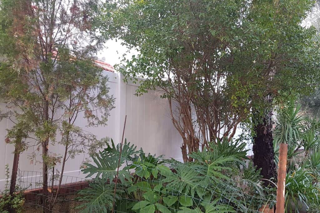 גדרות פנסי דגם חרמון