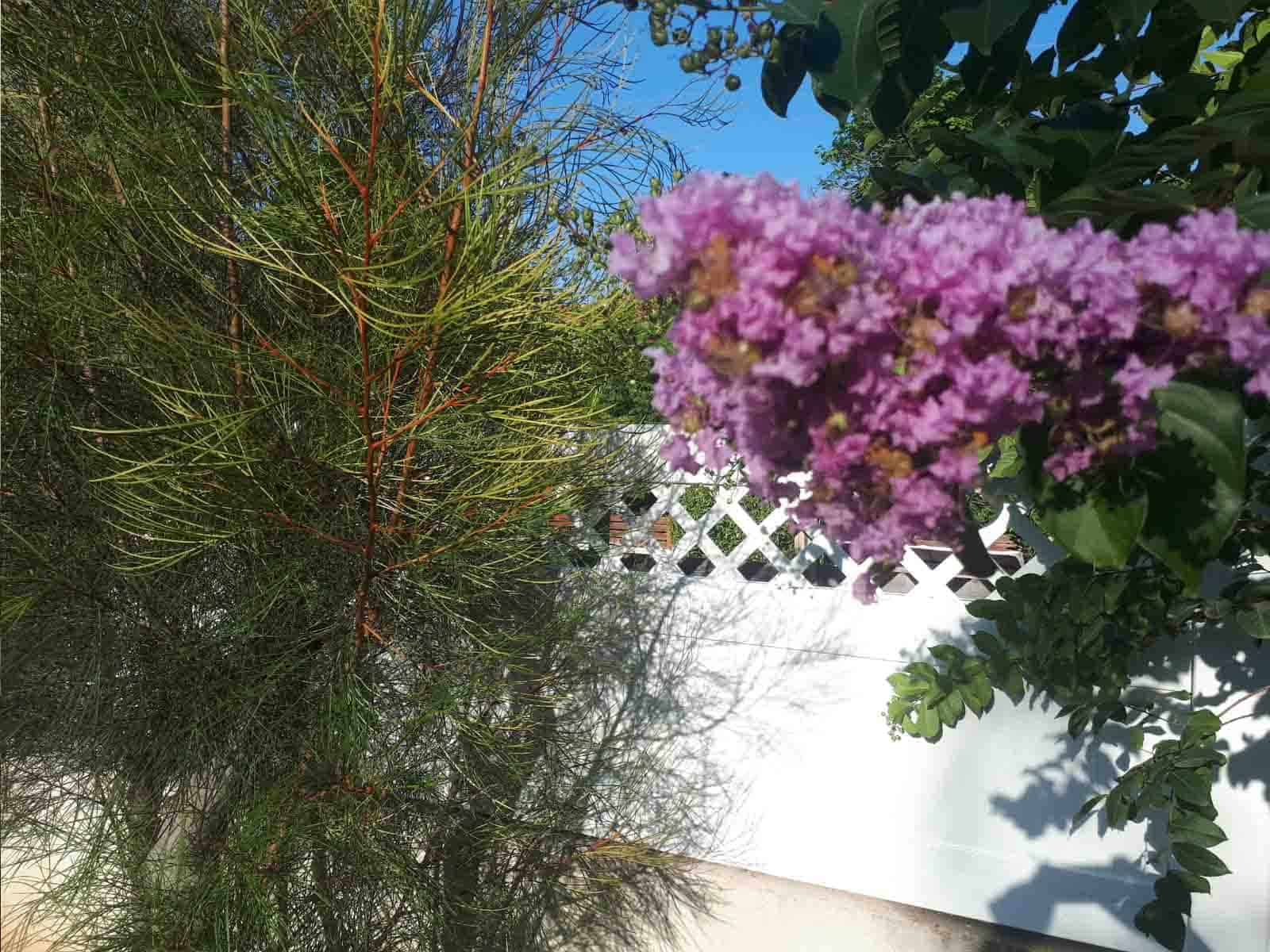 גלבוע-3