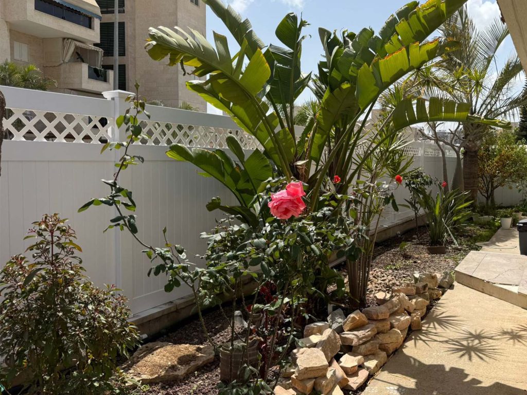 דגם גלבוע